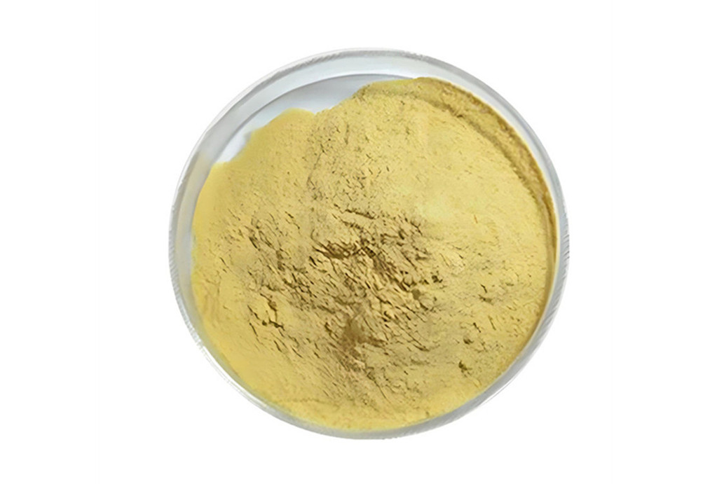 Choline Chloride CAS 67-48-1